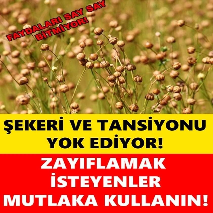 faydaları nelerdir? galerisi resim 1