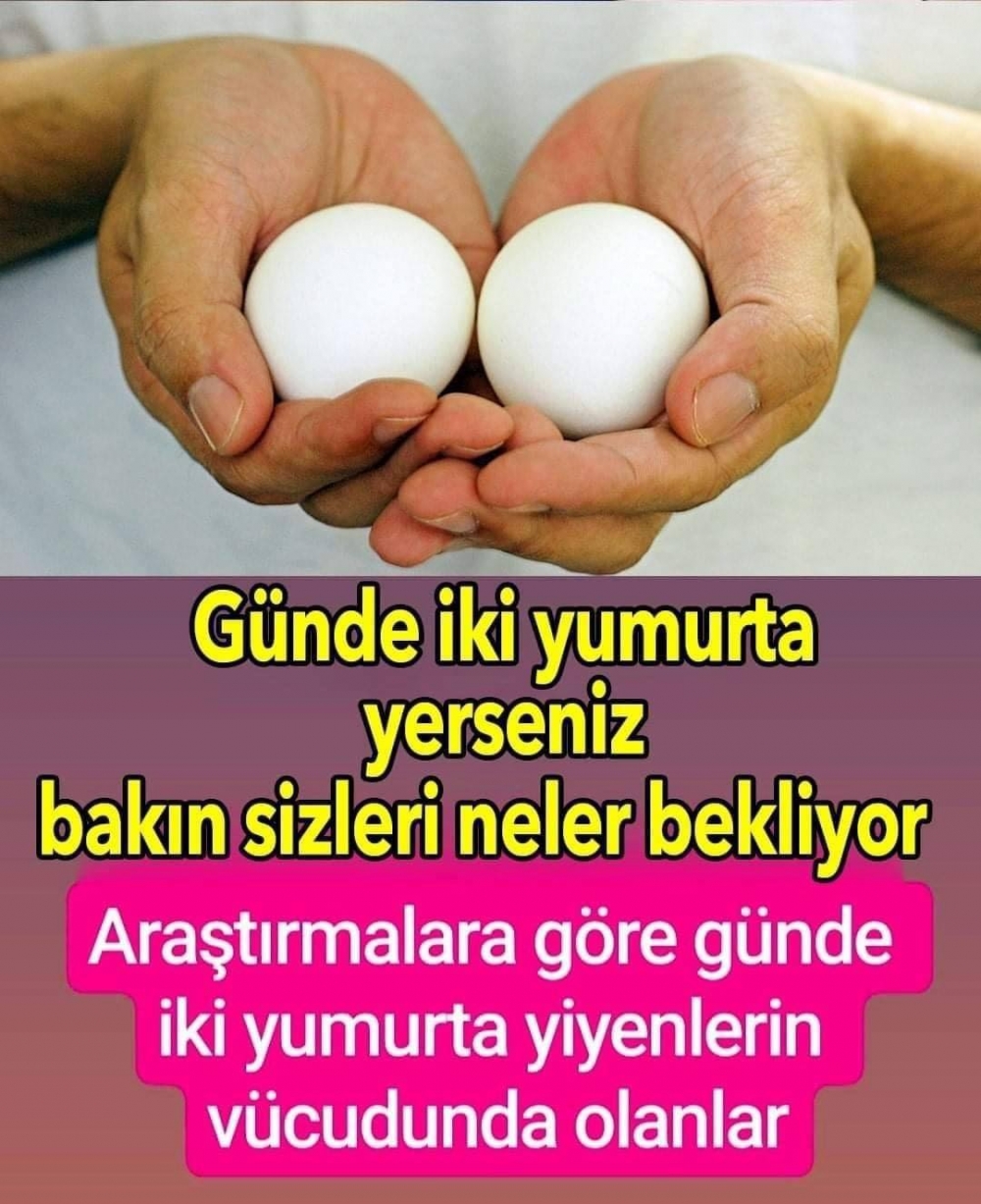 YUMURTA galerisi resim 1