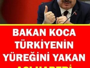 BAKAN KOCA TÜRKİYENİN