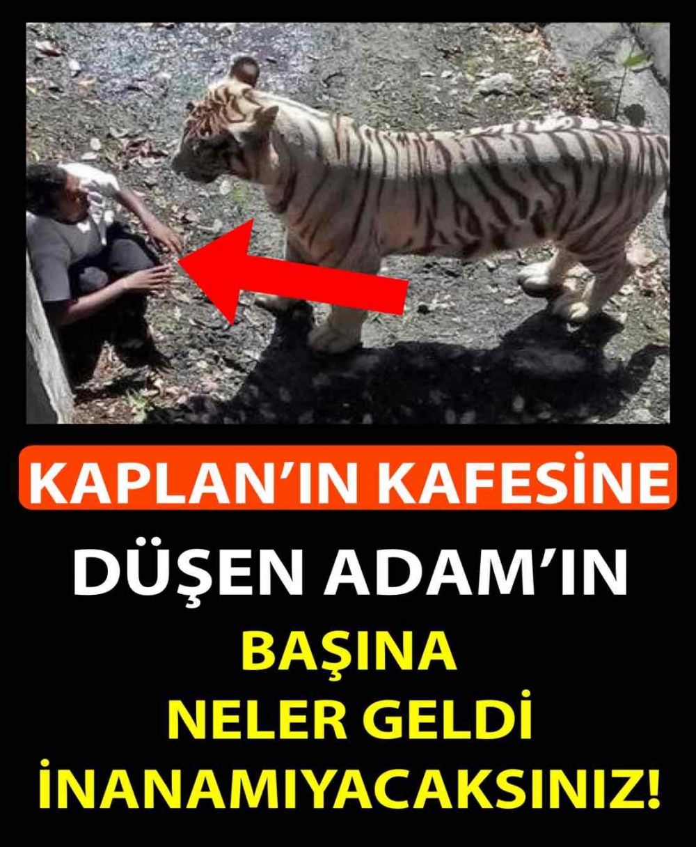 adam düştü galerisi resim 1