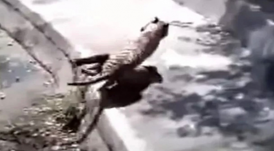 adam düştü galerisi resim 3