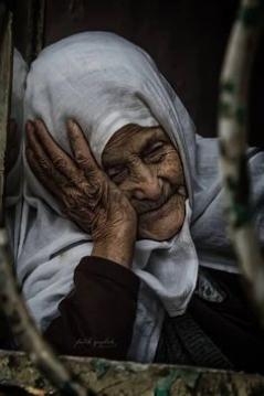 KEFEN PARASI galerisi resim 4