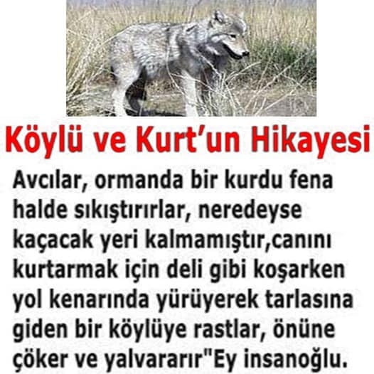 Köylü Adamın Öyküsü galerisi resim 1