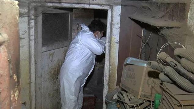 saksılaara gömmüş galerisi resim 2