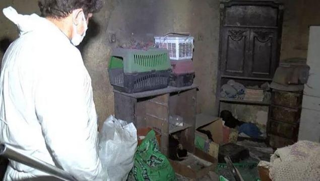 saksılaara gömmüş galerisi resim 3