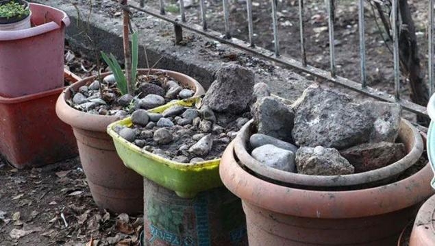 saksılaara gömmüş galerisi resim 4