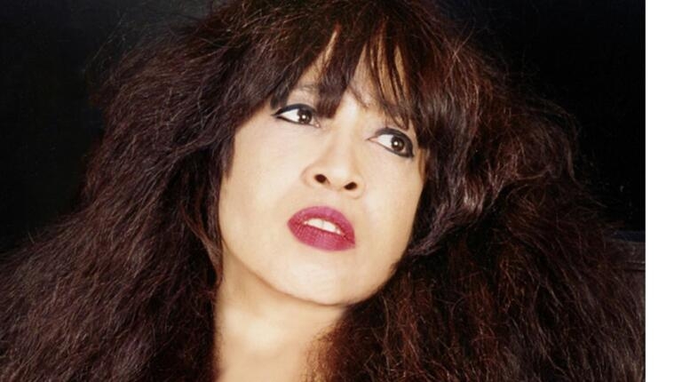 ÜNLÜ ŞARKICI galerisi resim 2