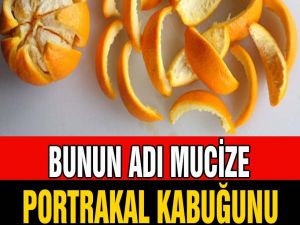 Kabuğunu sakın atmayın!