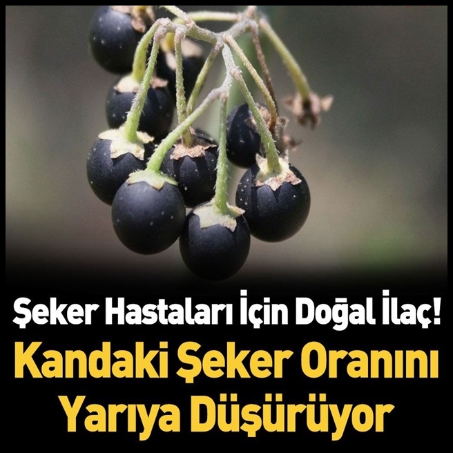 Şeker Hastalığına Ne İyi Gelir? galerisi resim 1