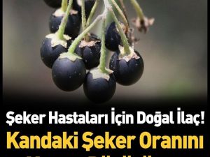Şeker Hastalığına Ne İyi Gelir?