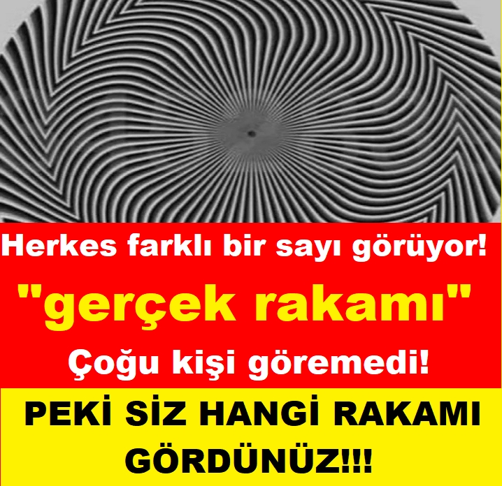 Herkes farklı bir sayı görüyor galerisi resim 1