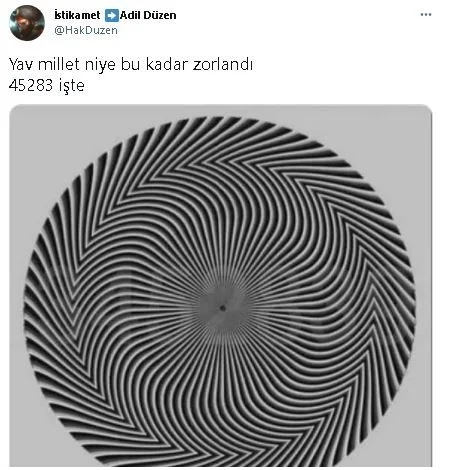 Herkes farklı bir sayı görüyor galerisi resim 5