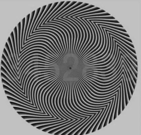 Herkes farklı bir sayı görüyor galerisi resim 7