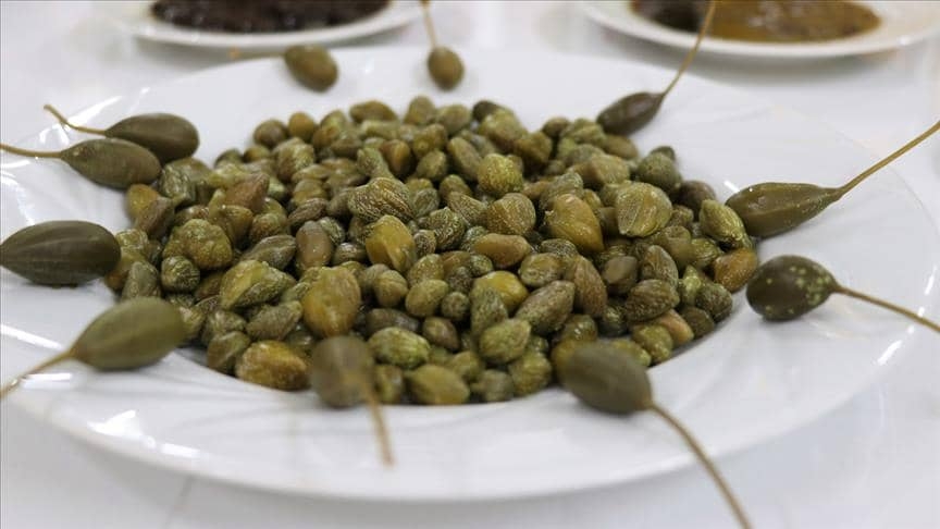 Faydaları Saymakla Bitmiyor! galerisi resim 4