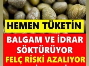 Faydaları Saymakla Bitmiyor!