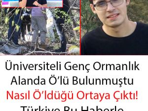 Ormanlık alanda bulunmuştu