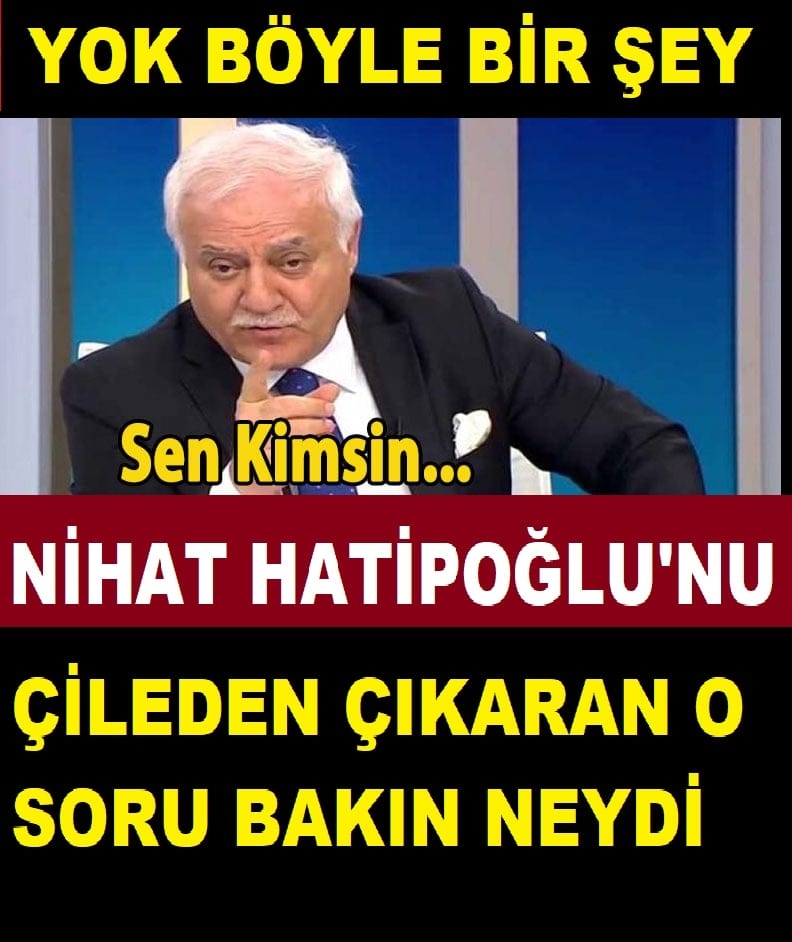 Nihat  Hatipoğlu galerisi resim 1