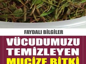 O hastalıktan kurtarıyor