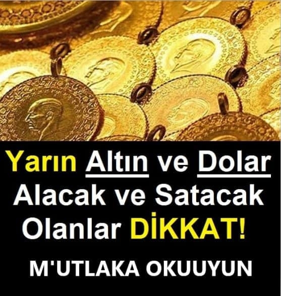 ALTIN DOLARA DİKKAT galerisi resim 1