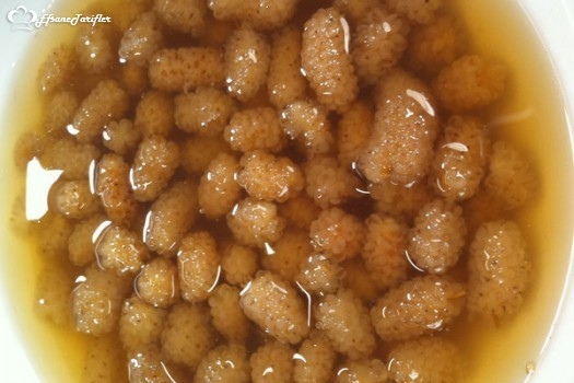 Kuru dutun faydaları galerisi resim 2