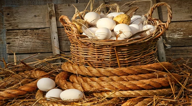 Ailenin önemi galerisi resim 2