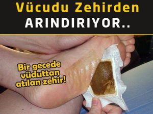 Bir gecede vücudunuzdan zehri atın!