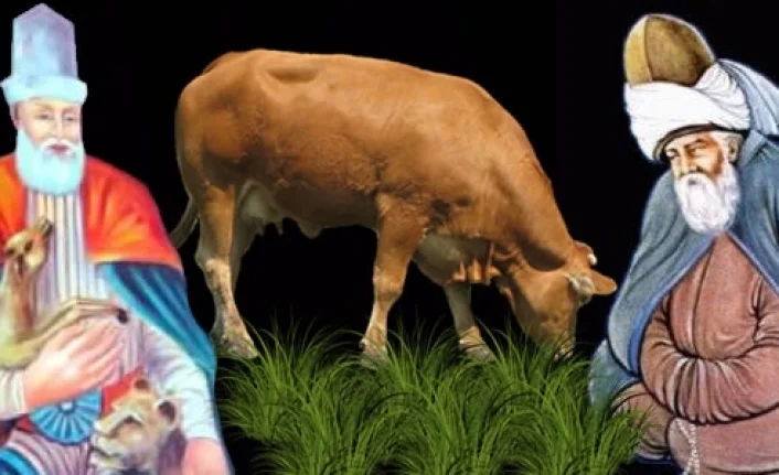 Helal mi Haram mı galerisi resim 2