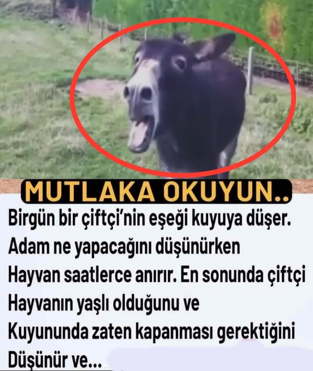 Günlerden Bir Gün galerisi resim 1