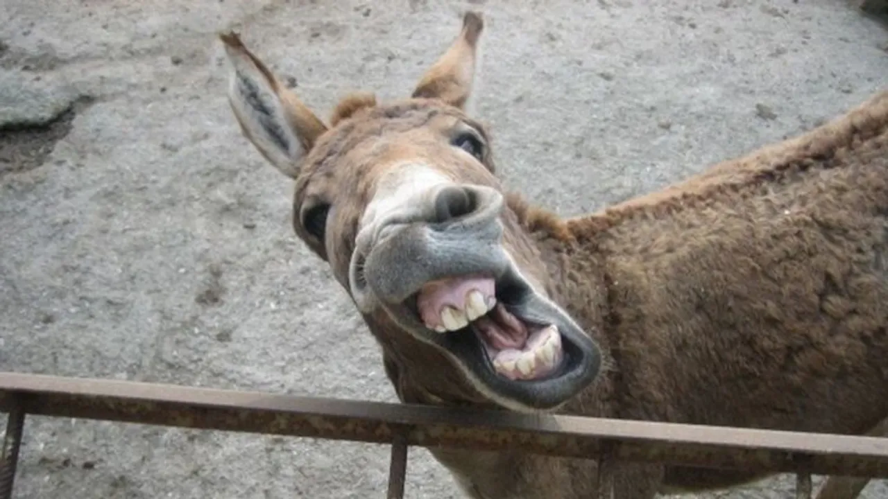 Günlerden Bir Gün galerisi resim 2