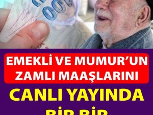 Maaşları bir bir anlattı