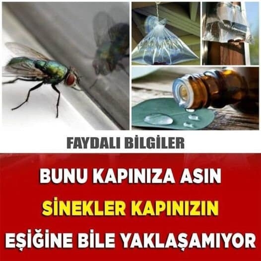 tek yapmanız gereken bu galerisi resim 1