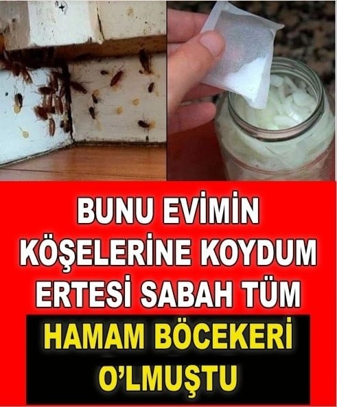 Köşelere koyun galerisi resim 1