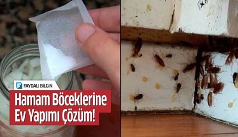 Köşelere koyun galerisi resim 2
