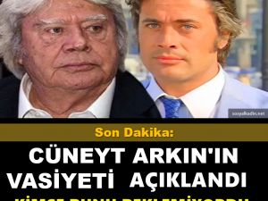 Koca çınarın isteği