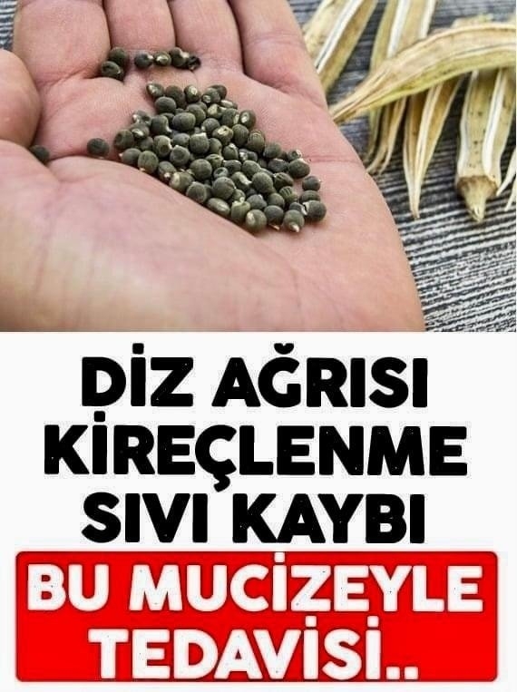 Doğal yöntem galerisi resim 1