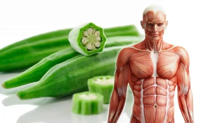 Doğal yöntem galerisi resim 2