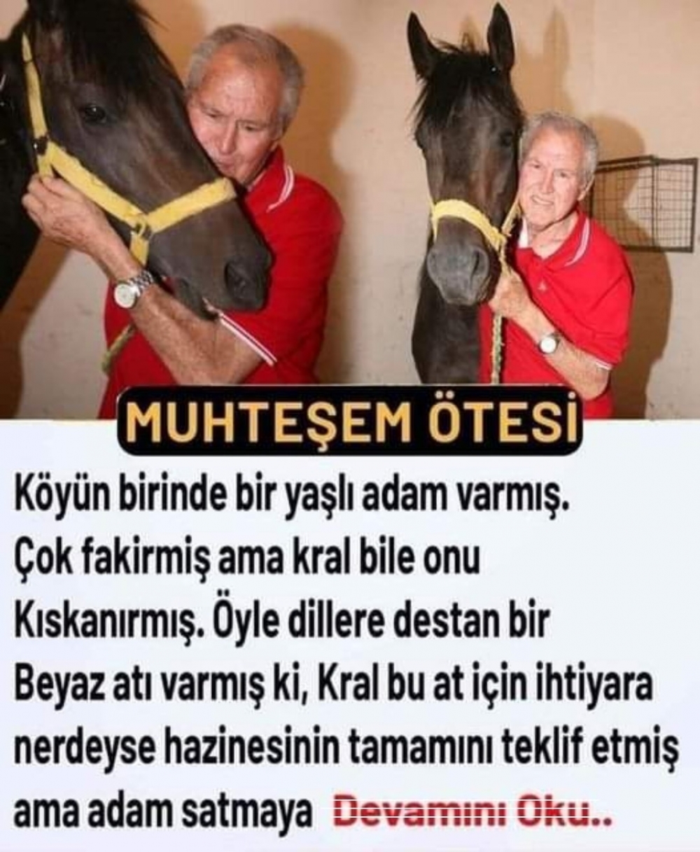 BEYAZ ATLI KOYLU galerisi resim 1