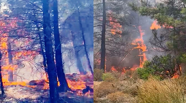Bir günde iki defa galerisi resim 3