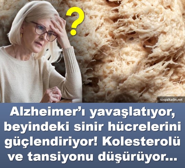 Herşeye deva galerisi resim 1