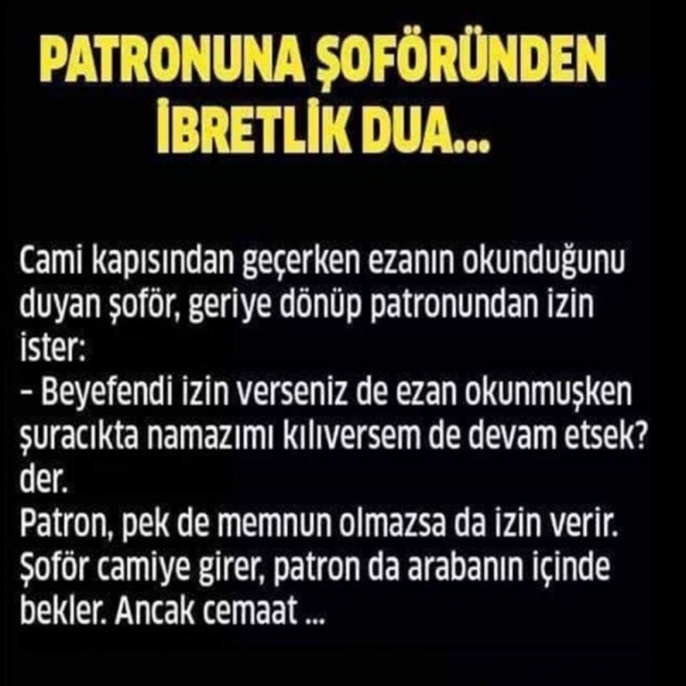 Patronun şoförü galerisi resim 1