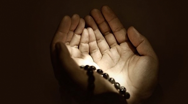 Patronun şoförü galerisi resim 2