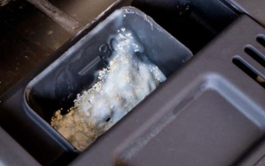 Çoğu evde mutlaka var galerisi resim 3