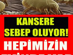 Çoğu evde mutlaka var