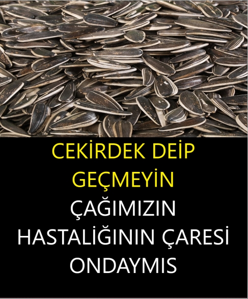 Çaresi çekirdek galerisi resim 1