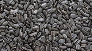 Çaresi çekirdek galerisi resim 5