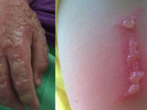 Bu Ota Sakın Dokunmayın!