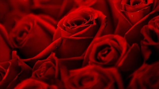 Hemde bugün galerisi resim 2