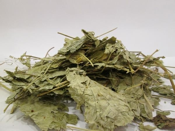 Aslan pençesi galerisi resim 2