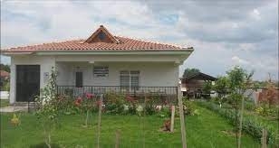 Kümesteki tavuk galerisi resim 3