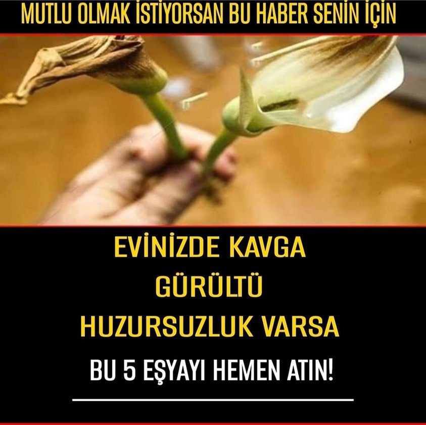 Evinizde Kavga Varsa galerisi resim 1